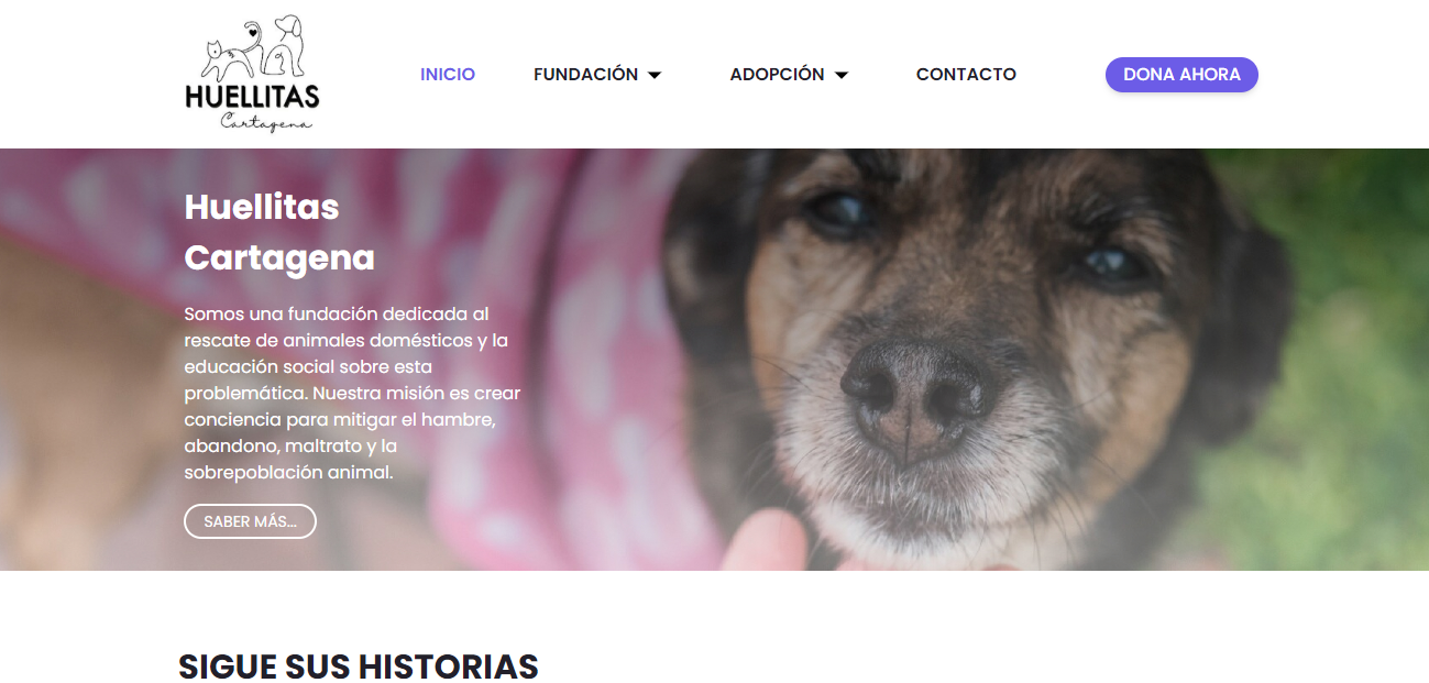 HuellitasCTG WebApp